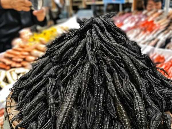干海参个数揭秘，一斤干海参究竟有多少个？