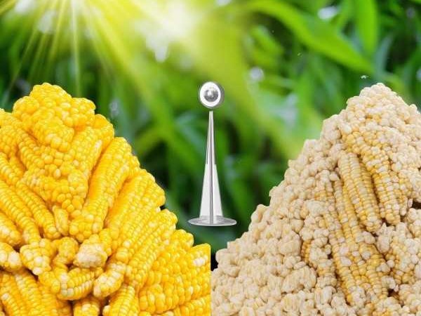 甜糯玉米热量对决，甜蜜之争，谁更胜一筹？